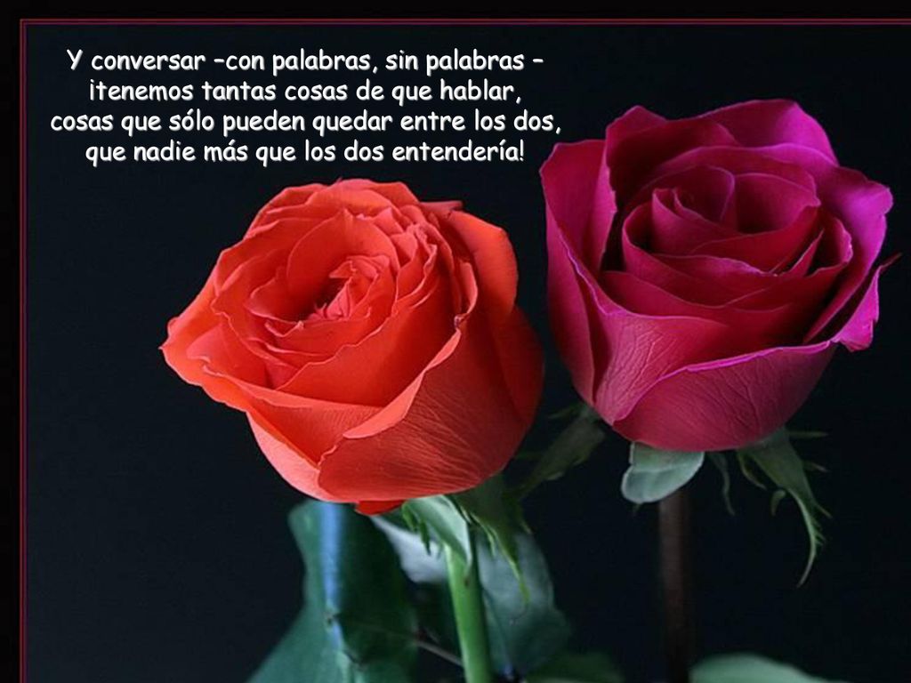 Y conversar –con palabras, sin palabras – ¡tenemos tantas cosas de que hablar, cosas que sólo pueden quedar entre los dos, que nadie más que los dos entendería!