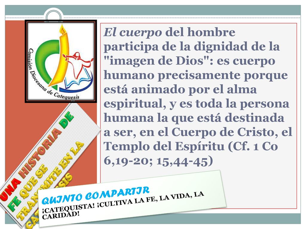 El cuerpo del hombre participa de la dignidad de la imagen de Dios : es cuerpo humano precisamente porque está animado por el alma espiritual, y es toda la persona humana la que está destinada a ser, en el Cuerpo de Cristo, el Templo del Espíritu (Cf. 1 Co 6,19-20; 15,44-45)