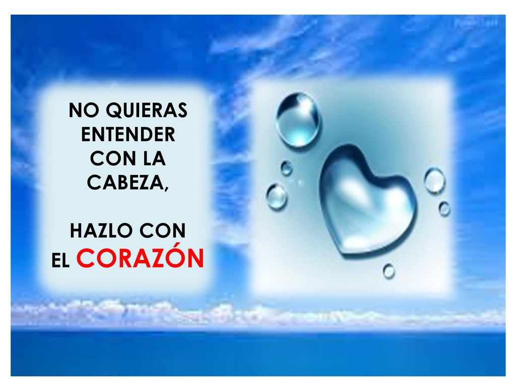 NO QUIERAS ENTENDER CON LA CABEZA, HAZLO CON EL CORAZÓN