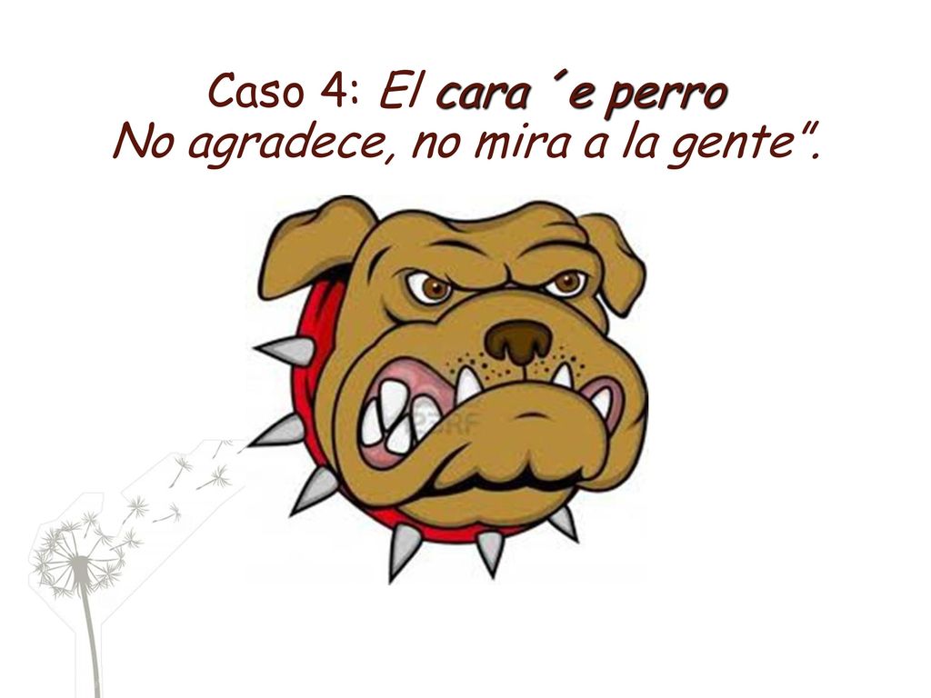 Caso 4: El cara ´e perro No agradece, no mira a la gente .