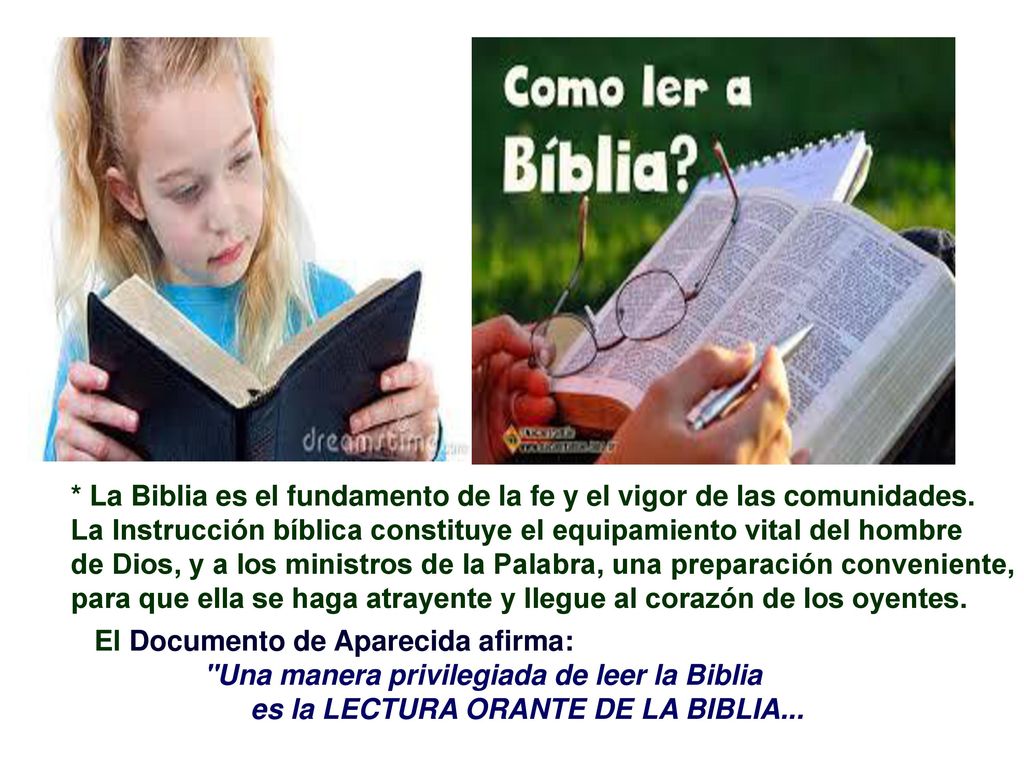 * La Biblia es el fundamento de la fe y el vigor de las comunidades.