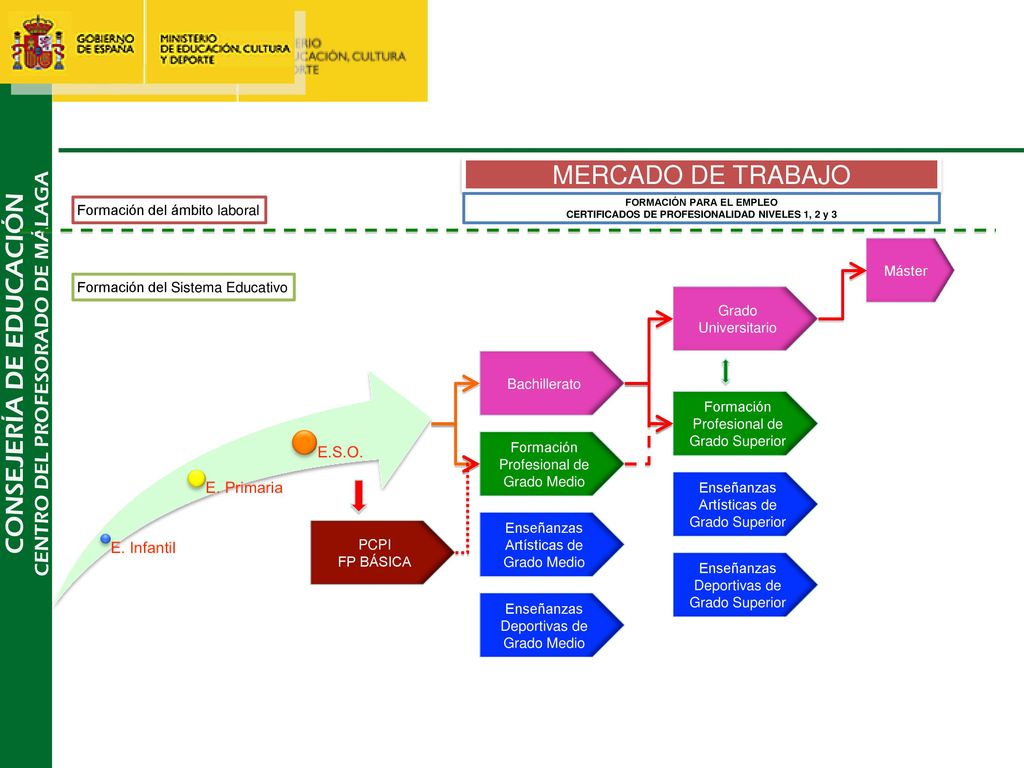 MERCADO DE TRABAJO Formación del ámbito laboral Máster