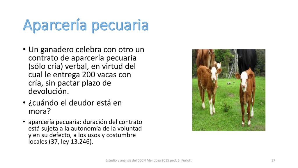 Estudio y análisis del CCCN Mendoza 2015 prof. S. Furlotti