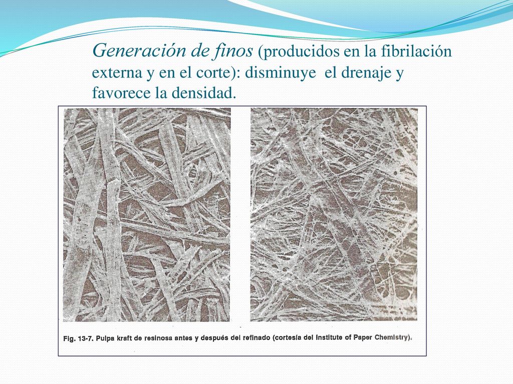 Generación de finos (producidos en la fibrilación externa y en el corte): disminuye el drenaje y favorece la densidad.