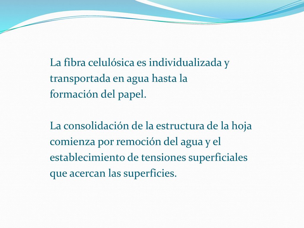 La fibra celulósica es individualizada y transportada en agua hasta la formación del papel.