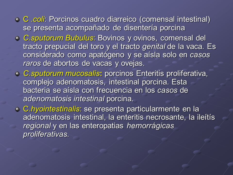 C .coli: Porcinos cuadro diarreico (comensal intestinal) se presenta acompañado de disentería porcina