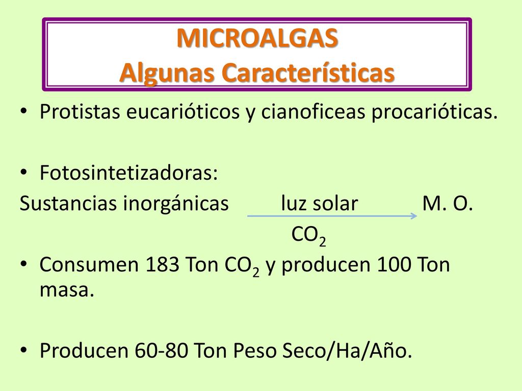 MICROALGAS Algunas Características