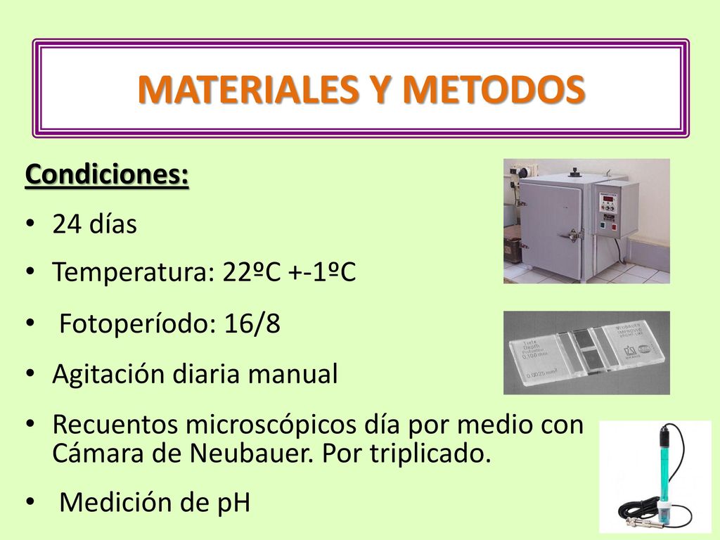 MATERIALES Y METODOS Condiciones: 24 días Temperatura: 22ºC +-1ºC