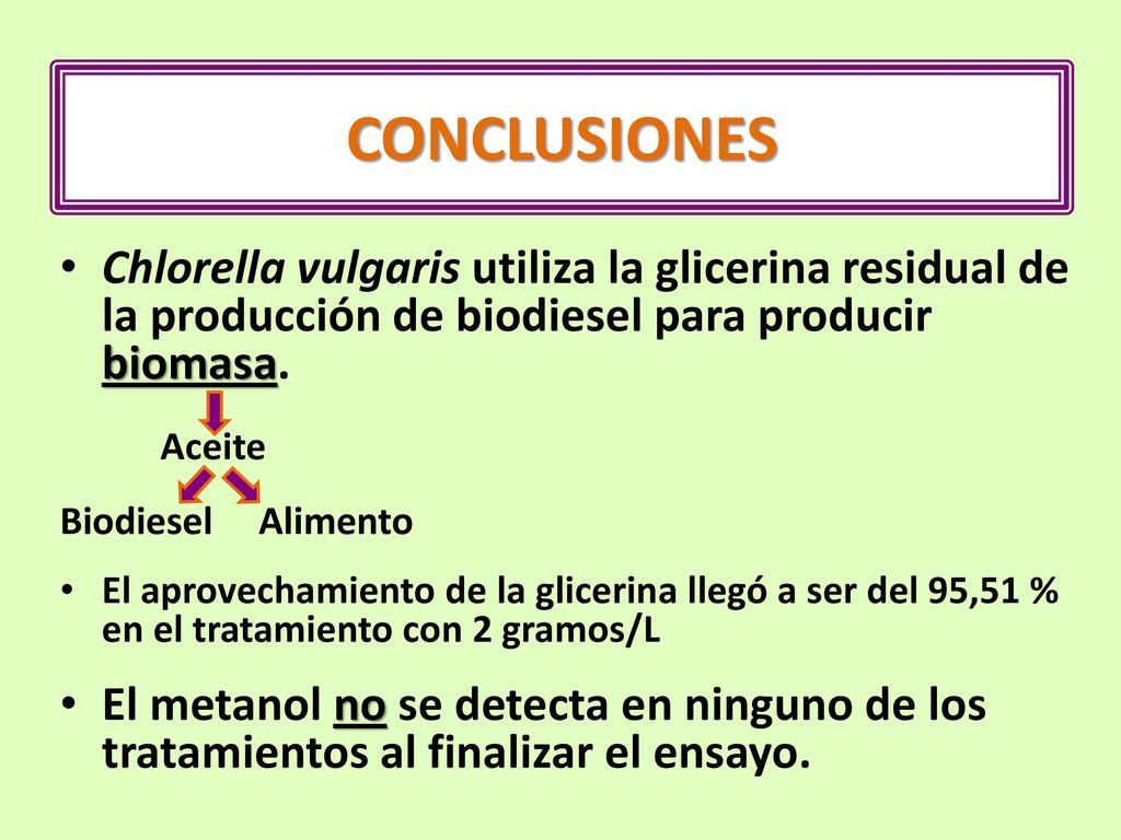 CONCLUSIONES Chlorella vulgaris utiliza la glicerina residual de la producción de biodiesel para producir biomasa.
