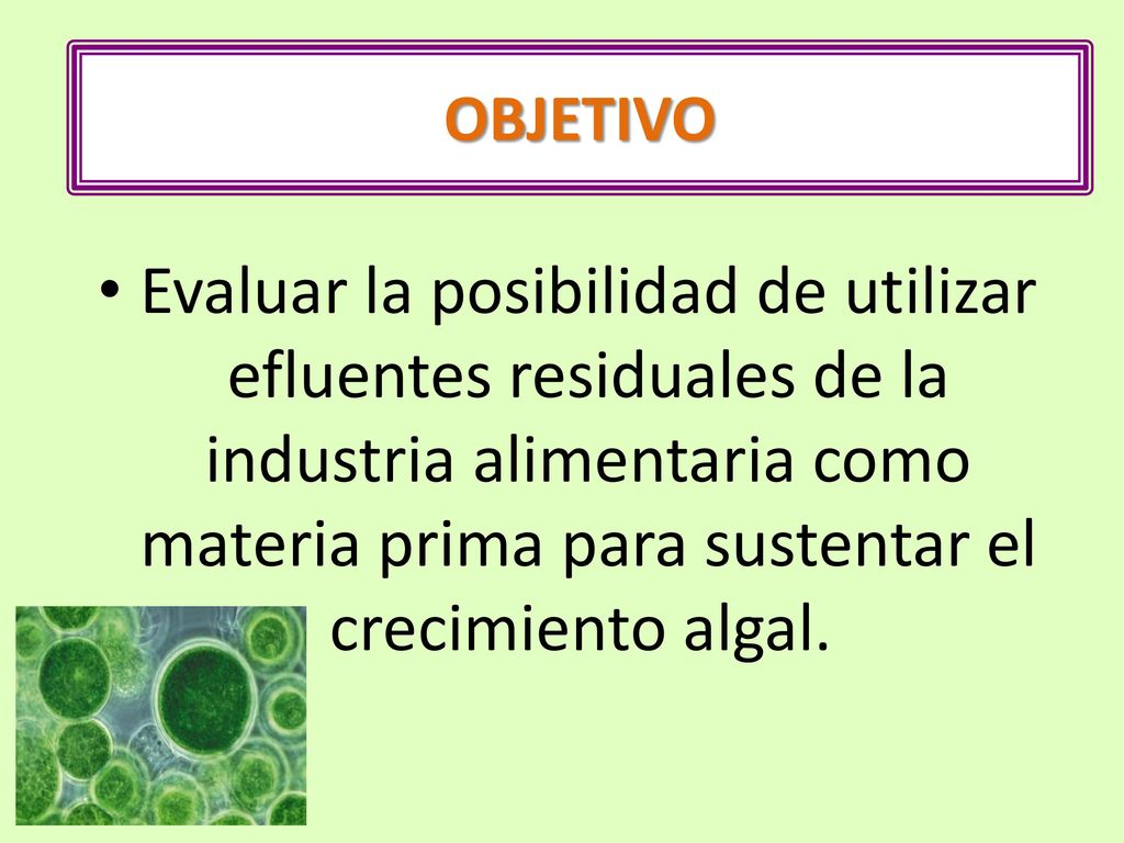 OBJETIVO Evaluar la posibilidad de utilizar efluentes residuales de la industria alimentaria como materia prima para sustentar el crecimiento algal.