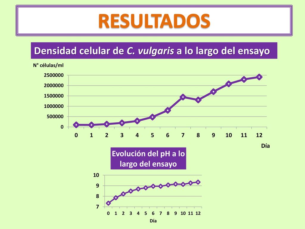 RESULTADOS Densidad celular de C. vulgaris a lo largo del ensayo