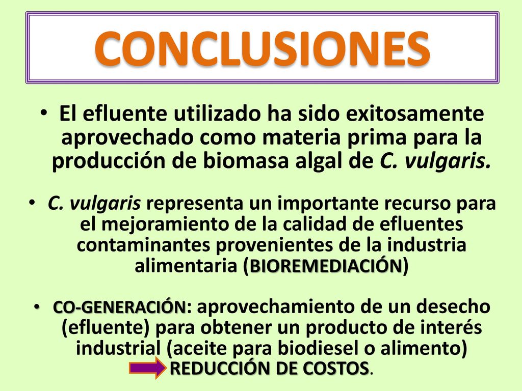 CONCLUSIONES El efluente utilizado ha sido exitosamente aprovechado como materia prima para la producción de biomasa algal de C. vulgaris.