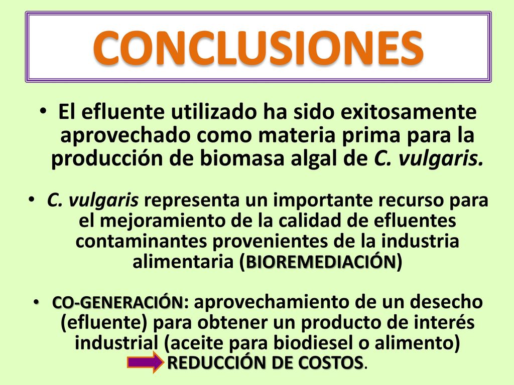CONCLUSIONES El efluente utilizado ha sido exitosamente aprovechado como materia prima para la producción de biomasa algal de C. vulgaris.