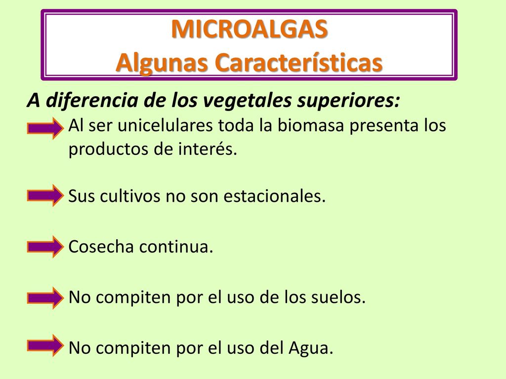 MICROALGAS Algunas Características