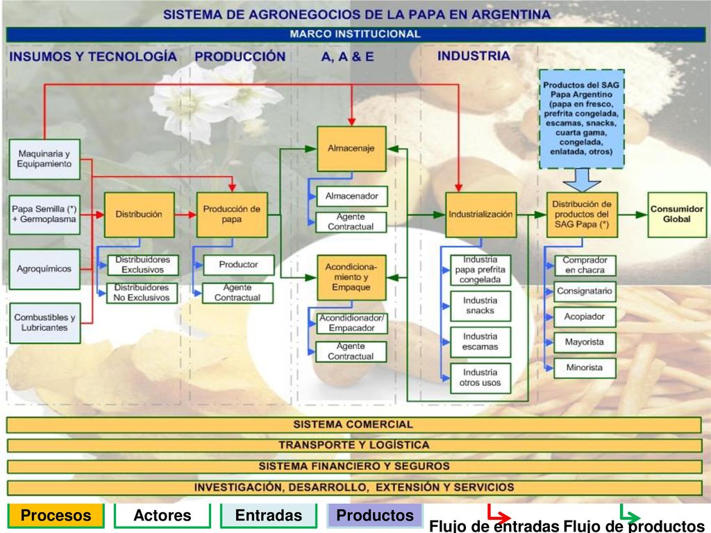 Procesos Actores Entradas Productos Flujo de entradas Flujo de productos