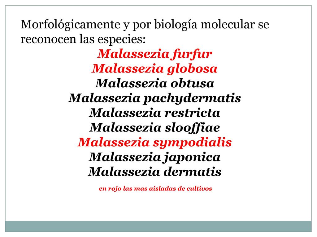 Morfológicamente y por biología molecular se reconocen las especies: