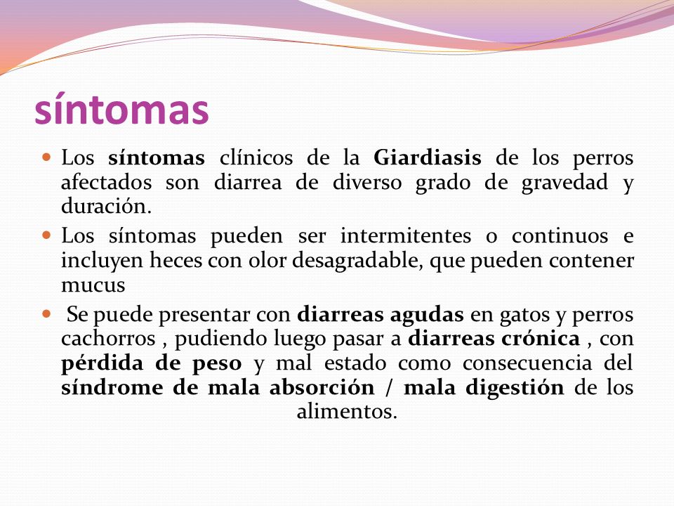 síntomas Los síntomas clínicos de la Giardiasis de los perros afectados son diarrea de diverso grado de gravedad y duración.