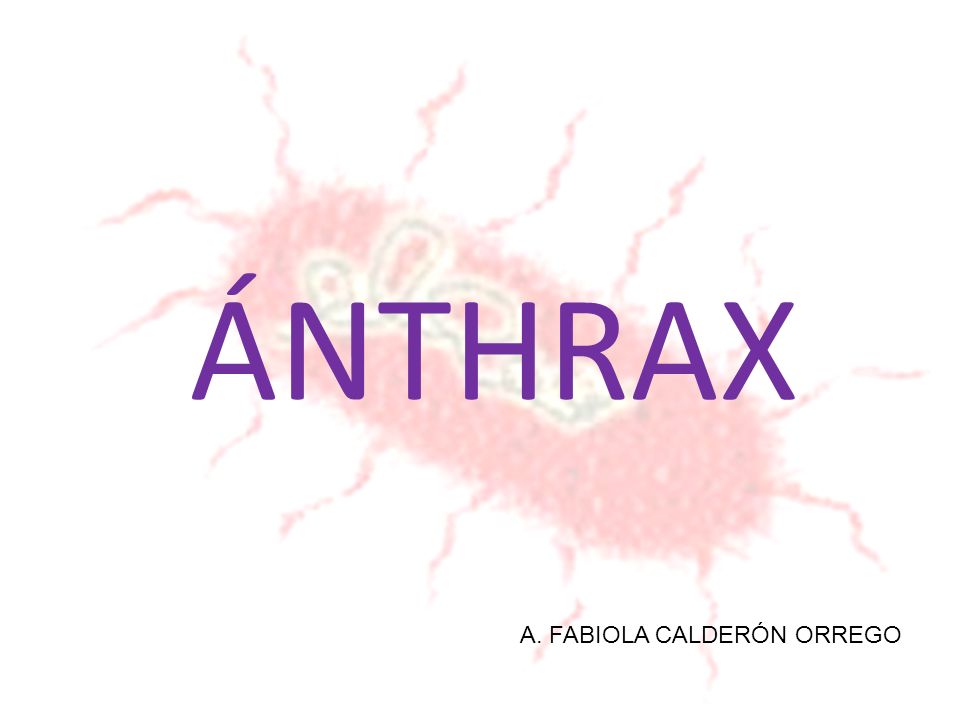 ÁNTHRAX A. FABIOLA CALDERÓN ORREGO
