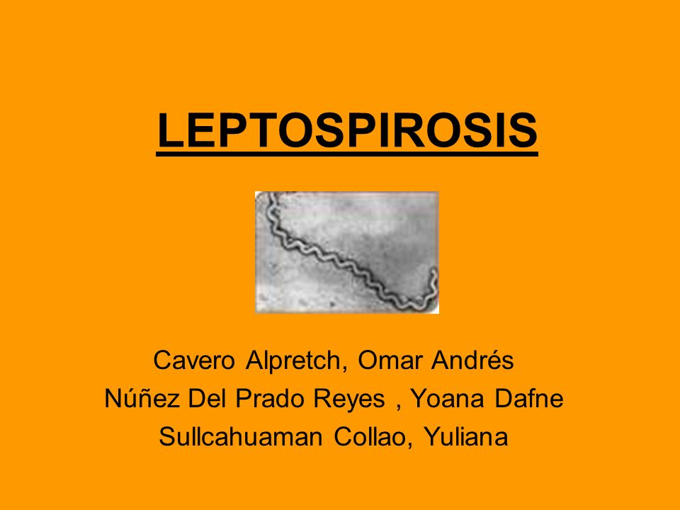 LEPTOSPIROSIS Cavero Alpretch, Omar Andrés