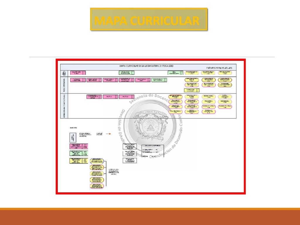 MAPA CURRICULAR