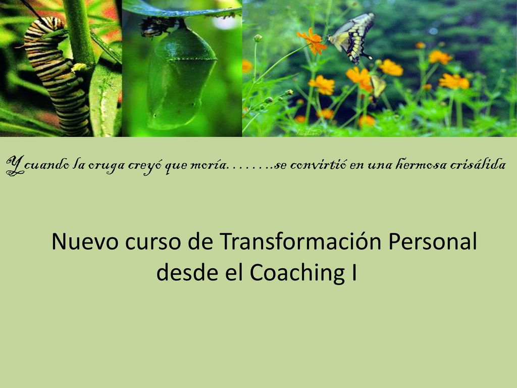 Nuevo curso de Transformación Personal desde el Coaching I
