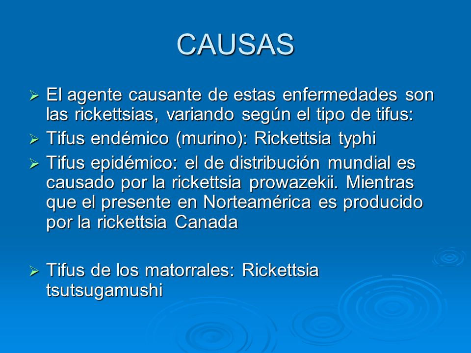 CAUSAS El agente causante de estas enfermedades son las rickettsias, variando según el tipo de tifus: