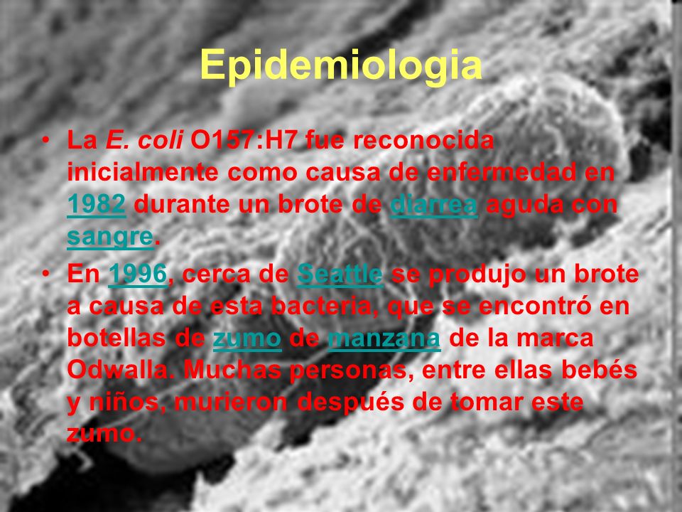 Epidemiologia La E. coli O157:H7 fue reconocida inicialmente como causa de enfermedad en 1982 durante un brote de diarrea aguda con sangre.