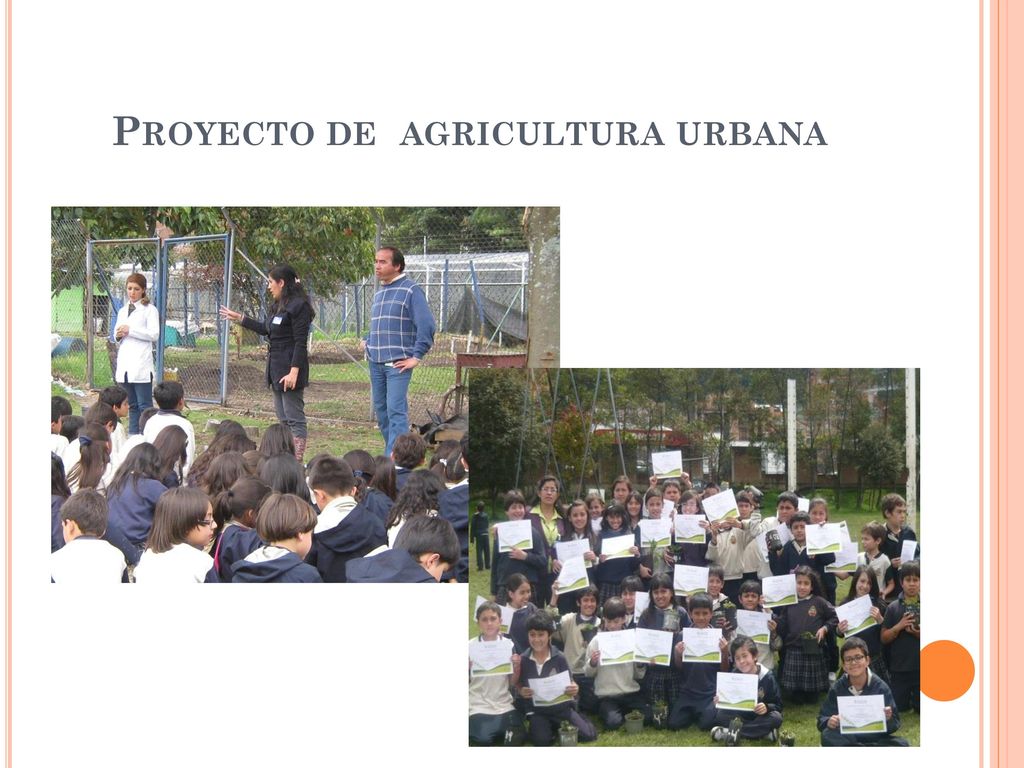 Proyecto de agricultura urbana