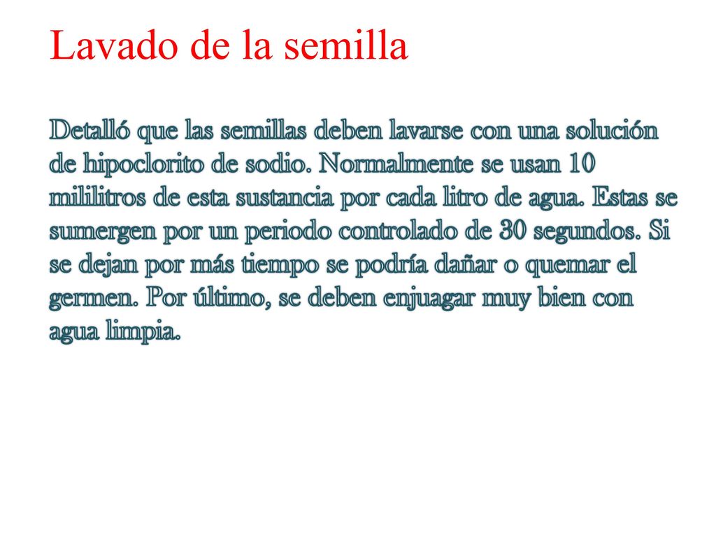 Lavado de la semilla Detalló que las semillas deben lavarse con una solución de hipoclorito de sodio.