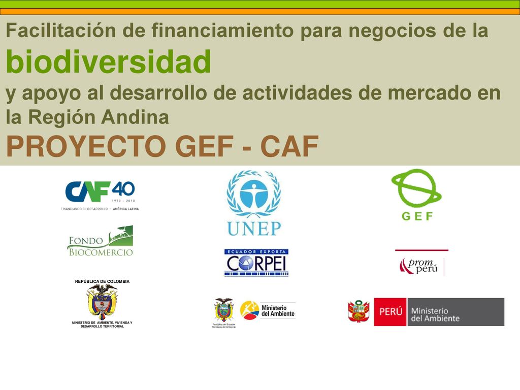 Facilitación de financiamiento para negocios de la biodiversidad y apoyo al desarrollo de actividades de mercado en la Región Andina PROYECTO GEF - CAF