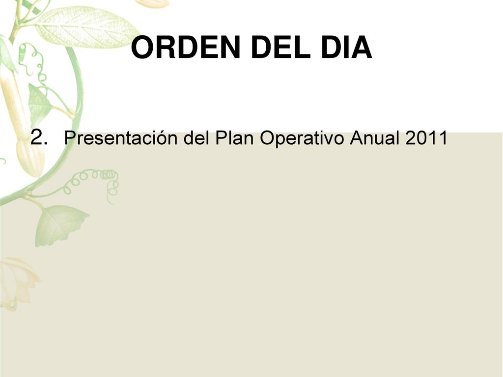 ORDEN DEL DIA 2. Presentación del Plan Operativo Anual 2011