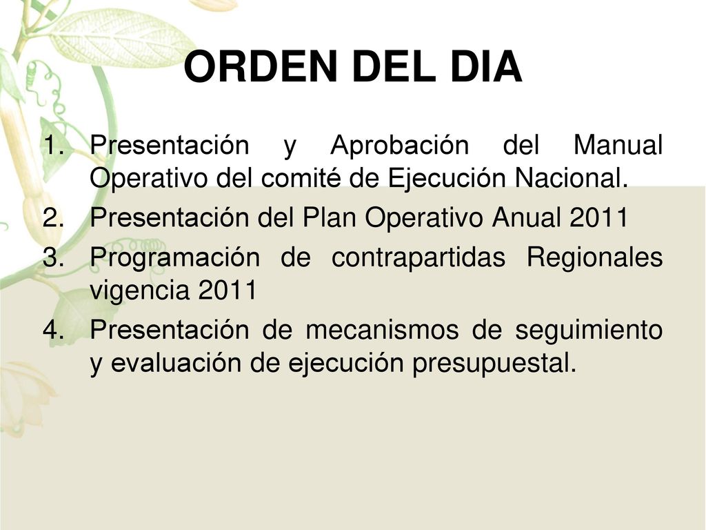 ORDEN DEL DIA Presentación y Aprobación del Manual Operativo del comité de Ejecución Nacional. Presentación del Plan Operativo Anual
