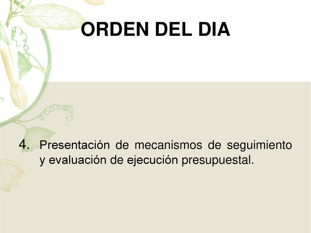 ORDEN DEL DIA 4. Presentación de mecanismos de seguimiento y evaluación de ejecución presupuestal.