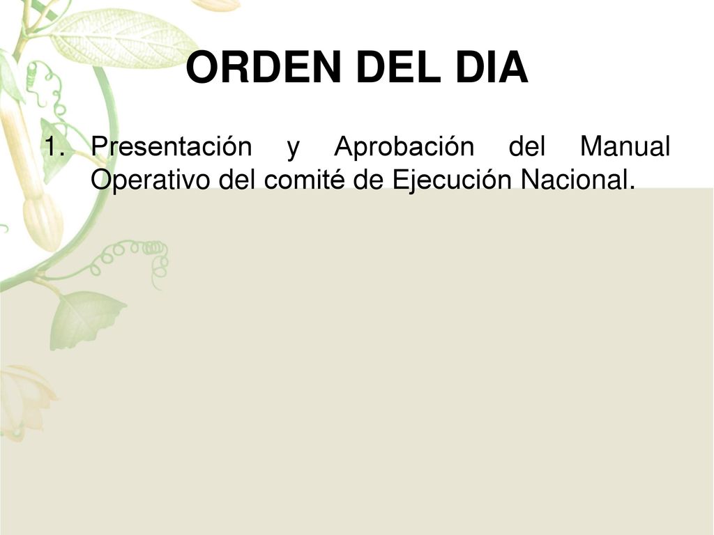 ORDEN DEL DIA Presentación y Aprobación del Manual Operativo del comité de Ejecución Nacional.