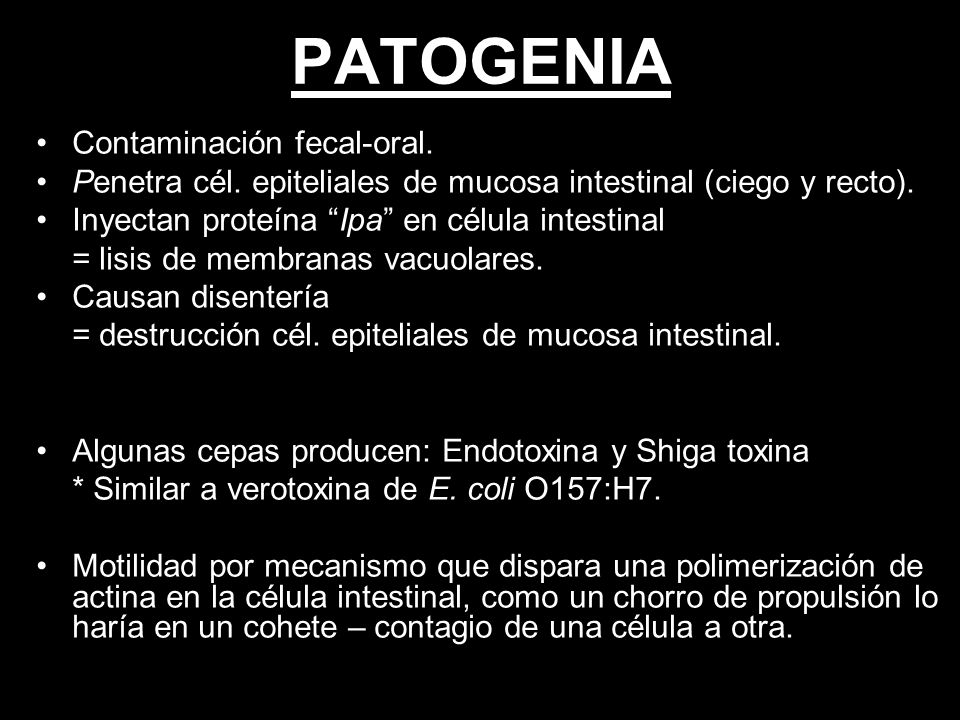 PATOGENIA Contaminación fecal-oral.
