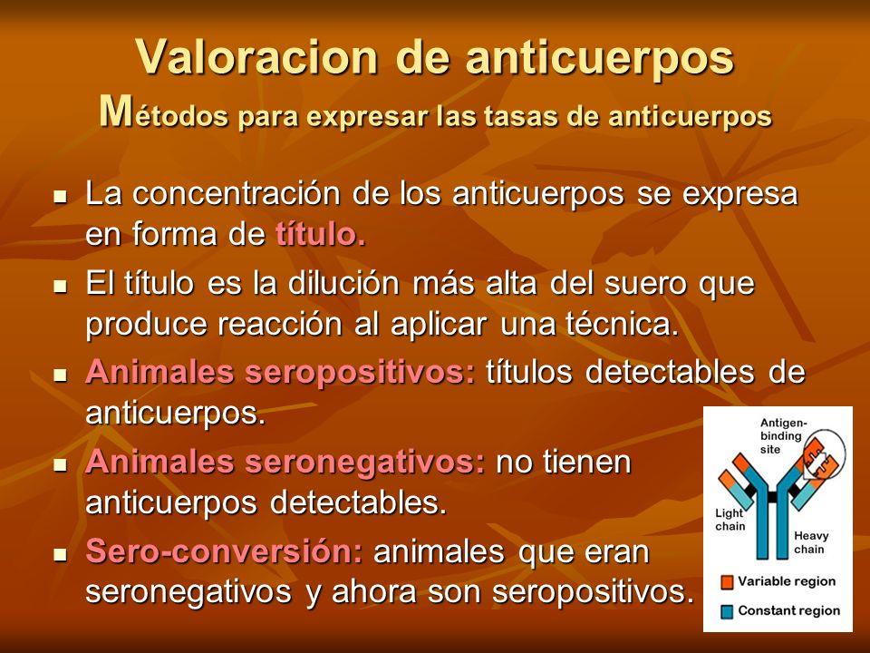 Valoracion de anticuerpos Métodos para expresar las tasas de anticuerpos