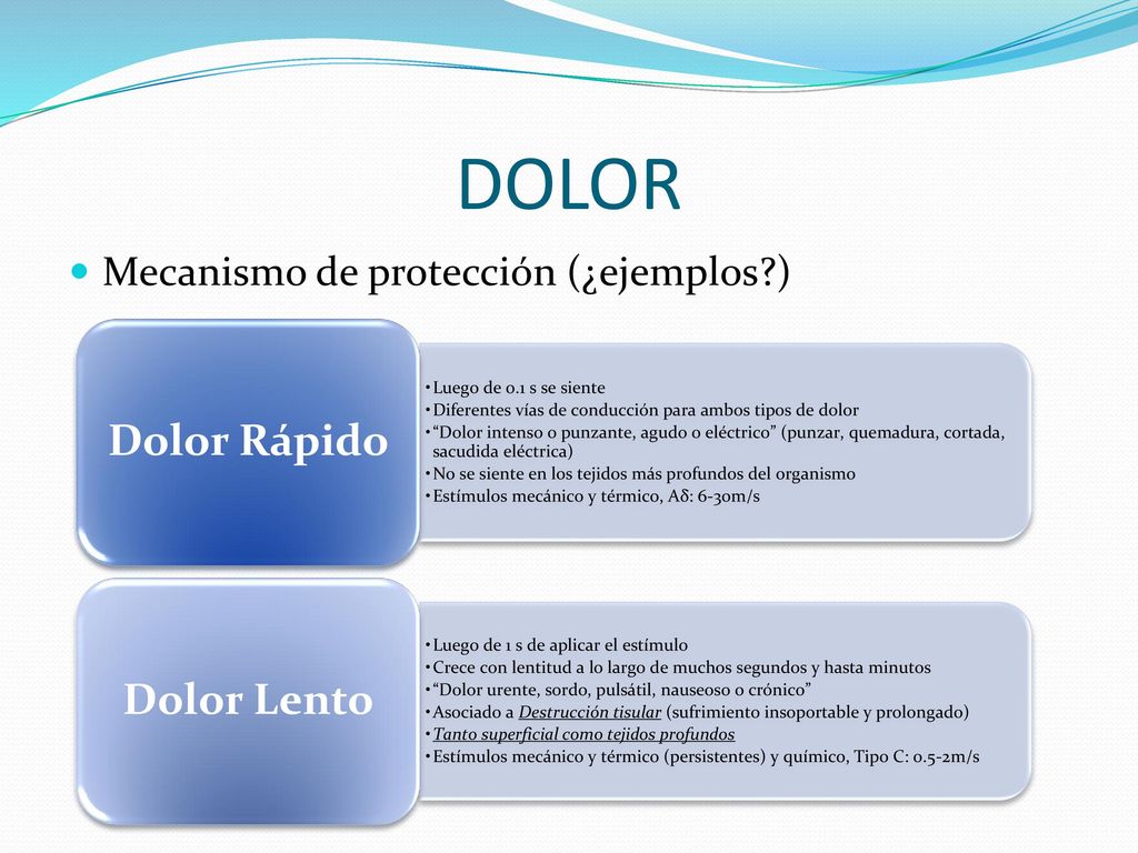 DOLOR Dolor Rápido Dolor Lento Mecanismo de protección (¿ejemplos )