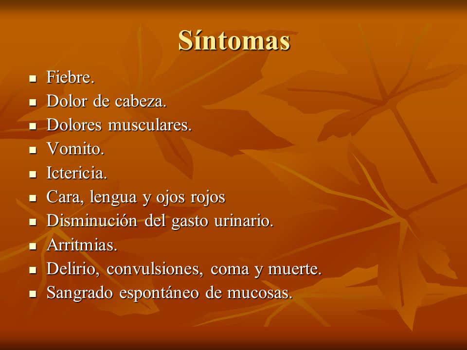 Síntomas Fiebre. Dolor de cabeza. Dolores musculares. Vomito.