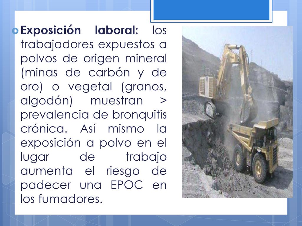 Exposición laboral: los trabajadores expuestos a polvos de origen mineral (minas de carbón y de oro) o vegetal (granos, algodón) muestran > prevalencia de bronquitis crónica.