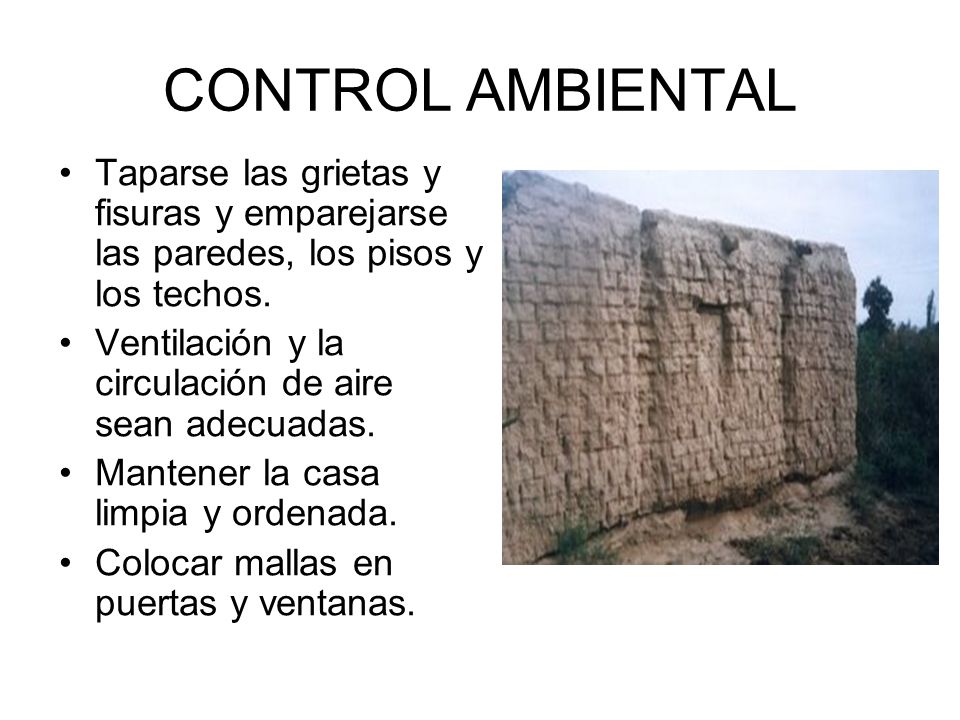 CONTROL AMBIENTAL Taparse las grietas y fisuras y emparejarse las paredes, los pisos y los techos.