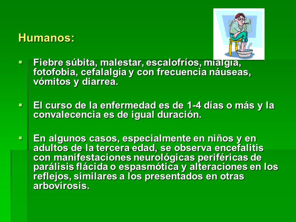Humanos: Fiebre súbita, malestar, escalofríos, mialgia, fotofobia, cefalalgia y con frecuencia náuseas, vómitos y diarrea.