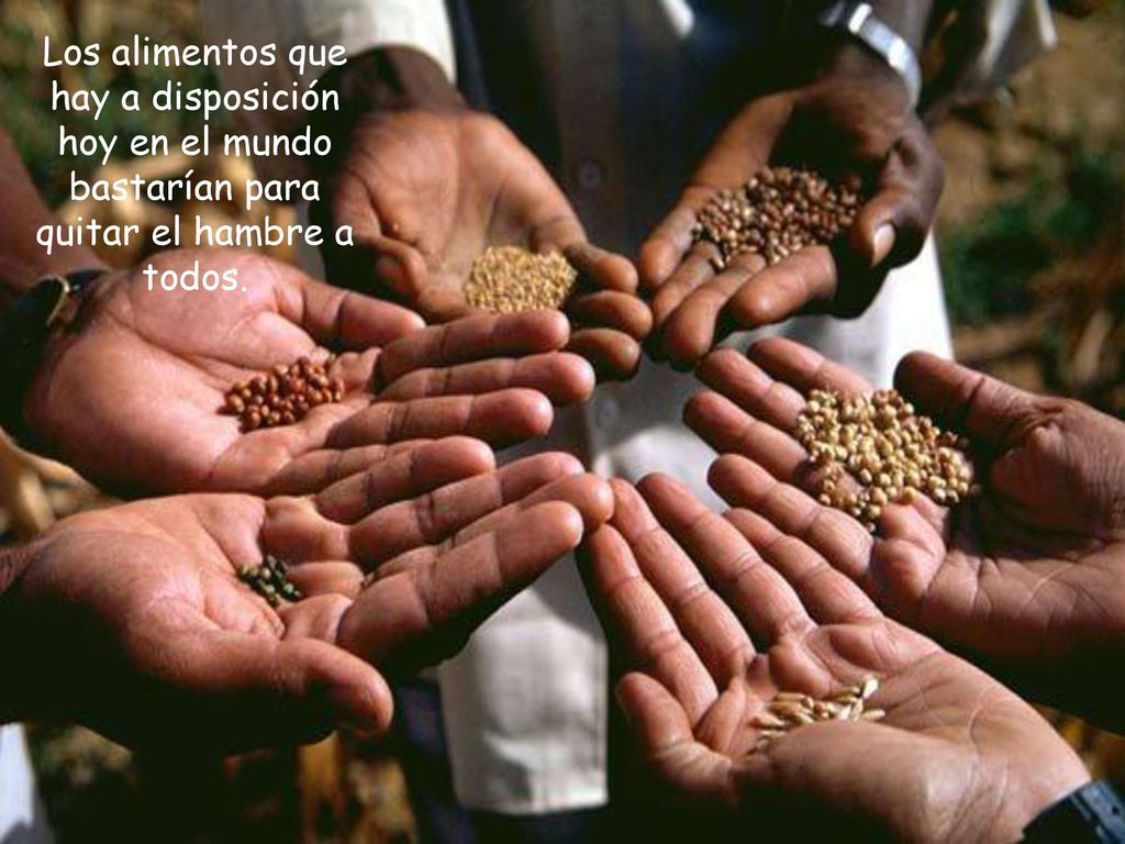 Los alimentos que hay a disposición hoy en el mundo bastarían para quitar el hambre a todos.