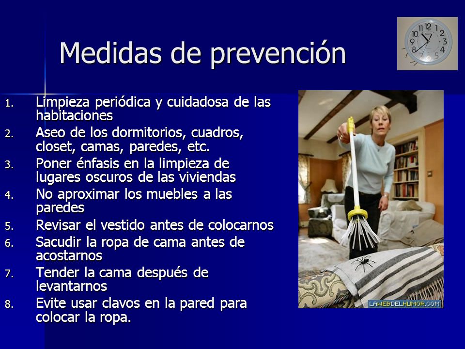 Medidas de prevención Limpieza periódica y cuidadosa de las habitaciones. Aseo de los dormitorios, cuadros, closet, camas, paredes, etc.