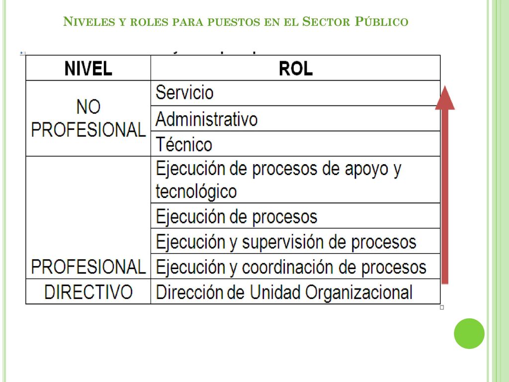 Niveles y roles para puestos en el Sector Público