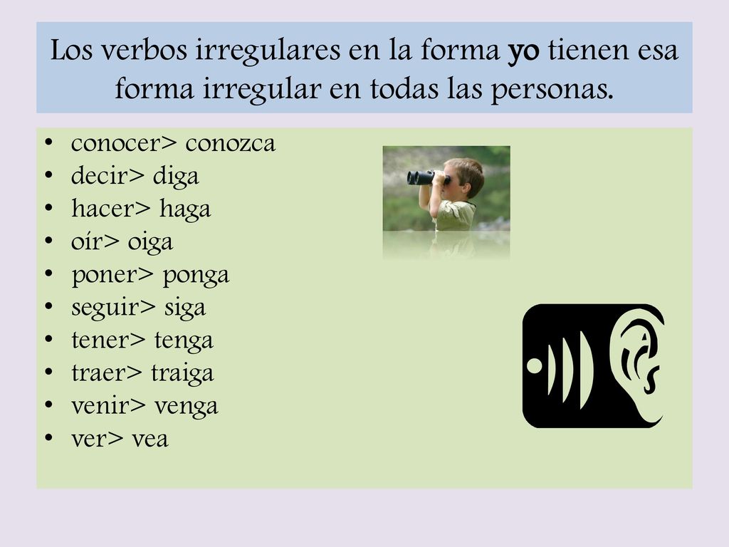 Los verbos irregulares en la forma yo tienen esa forma irregular en todas las personas.