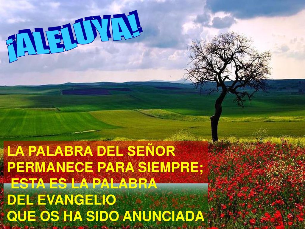 ¡ A L E L U Y A ! LA PALABRA DEL SEÑOR PERMANECE PARA SIEMPRE;