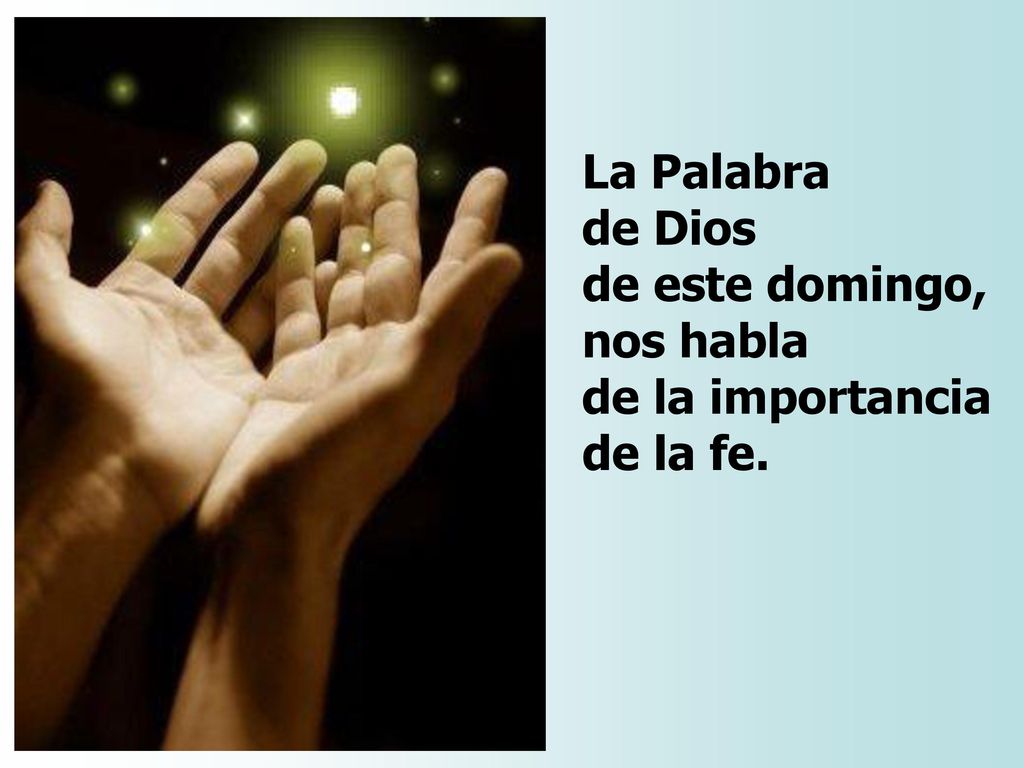 La Palabra de Dios de este domingo, nos habla de la importancia de la fe.