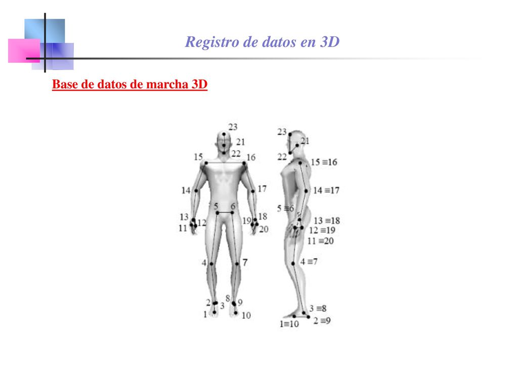 Registro de datos en 3D Base de datos de marcha 3D