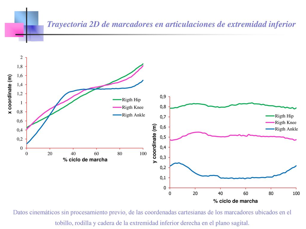 Trayectoria 2D de marcadores en articulaciones de extremidad inferior