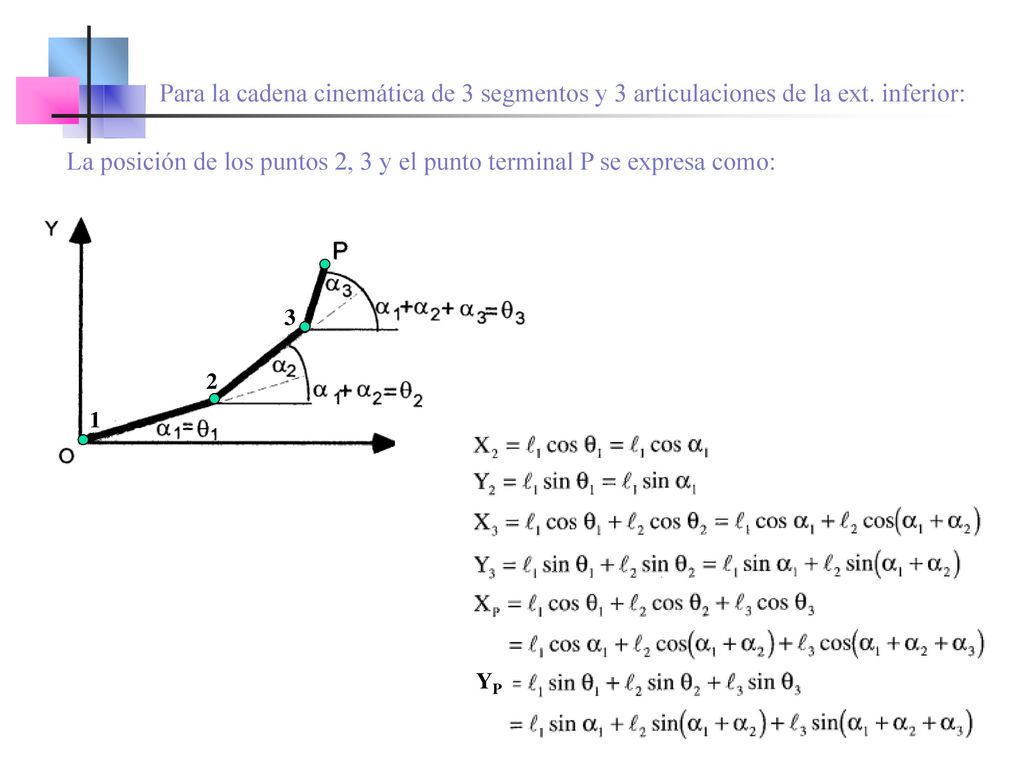 La posición de los puntos 2, 3 y el punto terminal P se expresa como:
